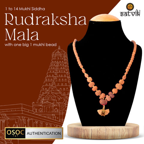 1–14 Mukhi Siddh Rudraksha Mala with One Large 1 Mukhi Bead – OSOC Certified Original Beads for Spiritual Power and Divine Blessings. India’s Largest Pooja Accessories Brand - www.satvikstore.in