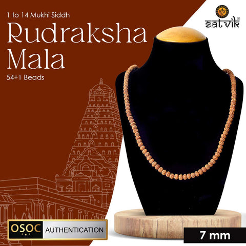 Certified 1 to 14 Mukhi Siddh Rudraksha mala for complete spiritual benefits, chakra alignment, and divine energy balance. India’s Premium Jap Mala Store - www.satvikstore.in