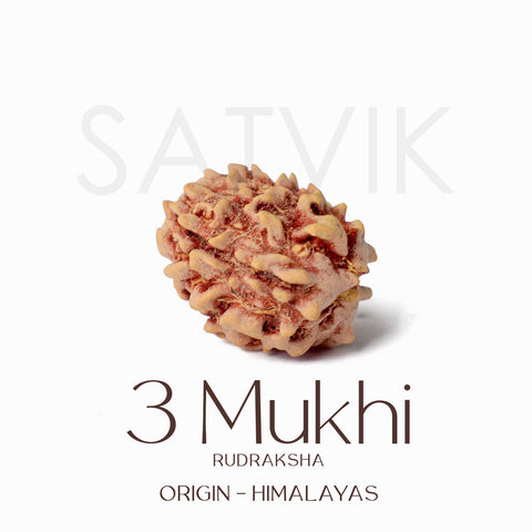 Certified 3 Mukhi Kantha Rudraksha Mala with light brown beads for spiritual healing, meditation, and emotional strength. India’s Largest Pooja Accessories Brand - www.satvikstore.in