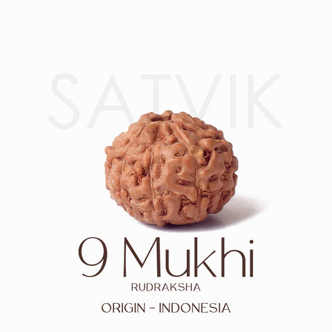 Certified 9 Mukhi brown Rudraksha bead from Indo origin placed on red cloth, representing divine strength, protection, and blessings of Goddess Durga. India’s Largest Pooja Accessories Brand - www.satvikstore.in