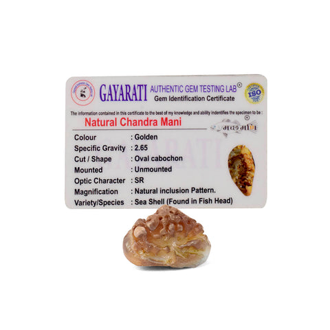 Golden Chander Mandi Machmadi used in Hindu rituals for protection and divine blessings. India’s Largest Pooja Accessories Brand - www.satvikstore.in
