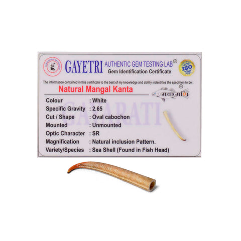 Polished small Mangal Mani stone (Mangal Kata) in reddish-brown color, placed on a brass pooja thali for astrological and spiritual rituals. India’s Largest Pooja Accessories Brand - www.satvikstore.in
